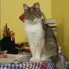 Отзыв от Вероника Лаврентьева